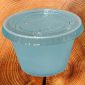 postion-cup-2-.jpg